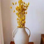Portugal Countryside Retreat For Remote Workers And Digital Nomads * ואלה דה קאמברה