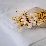 Portugal Countryside Retreat For Remote Workers And Digital Nomads בית כפרי