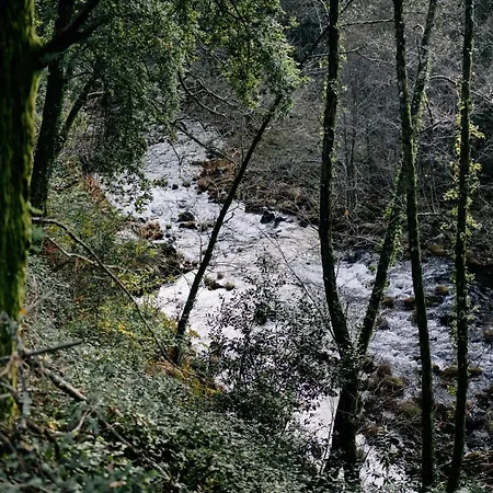 Летний дом Portugal Countryside Retreat For Remote Workers And Digital Nomads