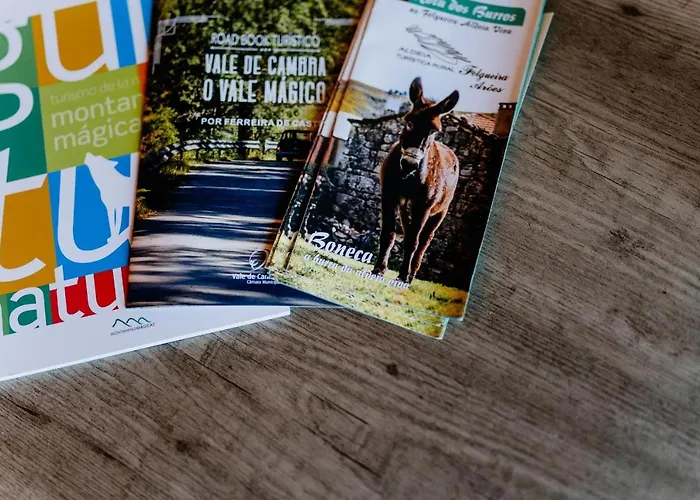 Portugal Countryside Retreat For Remote Workers And Digital Nomads Vale de Cambra