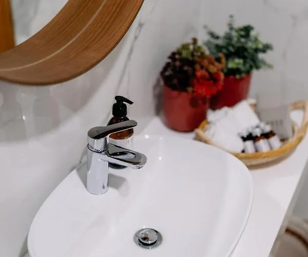 Portugal Countryside Retreat For Remote Workers And Digital Nomads Gospodarstwo wiejskie Vale de Cambra