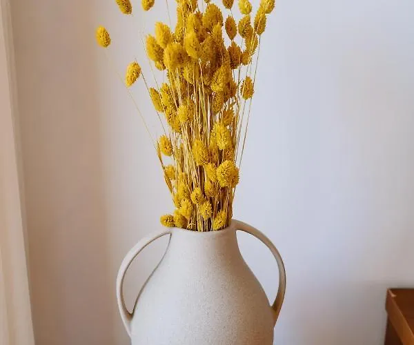 Portugal Countryside Retreat For Remote Workers And Digital Nomads * Вали-ди-Камбра