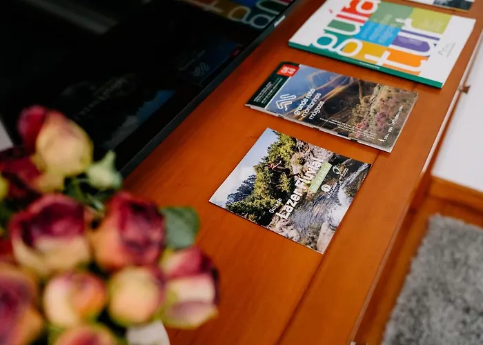 Gospodarstwo wiejskie Portugal Countryside Retreat For Remote Workers And Digital Nomads Vale de Cambra