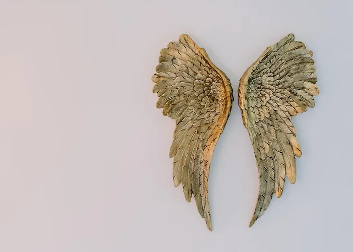 Portugal Countryside Retreat For Remote Workers And Digital Nomads * Вали-ди-Камбра