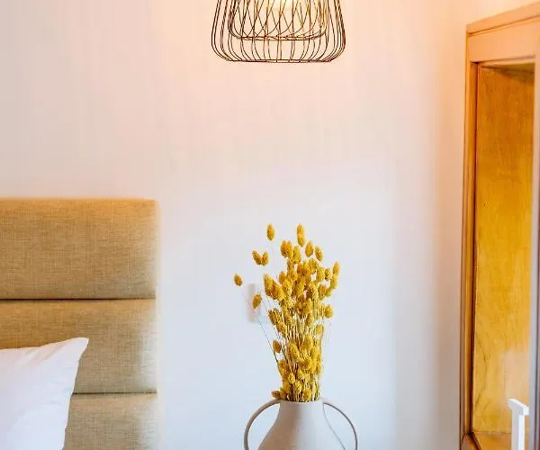 Portugal Countryside Retreat For Remote Workers And Digital Nomads Vale de Cambra