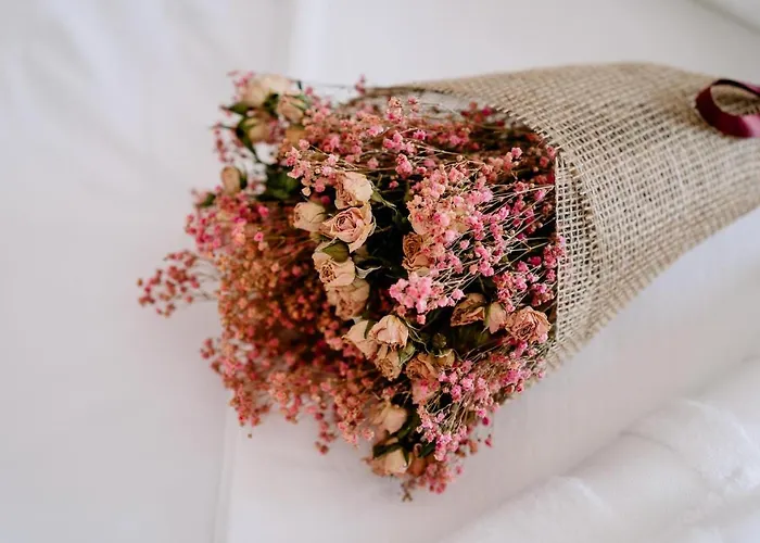 Portugal Countryside Retreat For Remote Workers And Digital Nomads Vale de Cambra