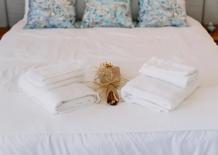 Portugal Countryside Retreat For Remote Workers And Digital Nomads