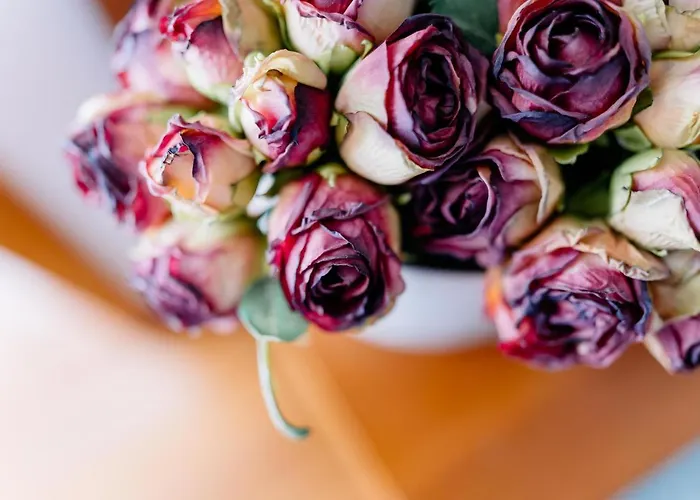 Летний дом Portugal Countryside Retreat For Remote Workers And Digital Nomads