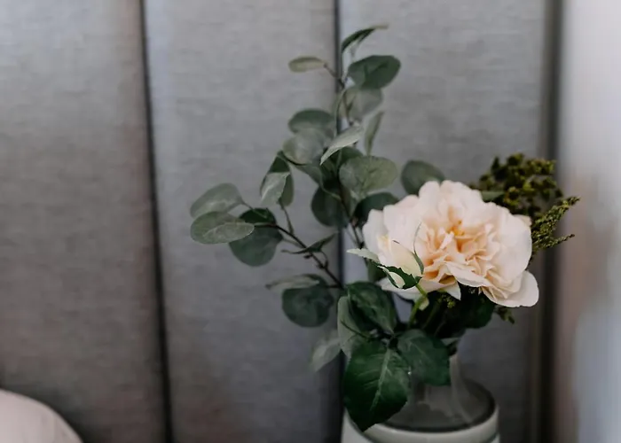 Portugal Countryside Retreat For Remote Workers And Digital Nomads Vale de Cambra