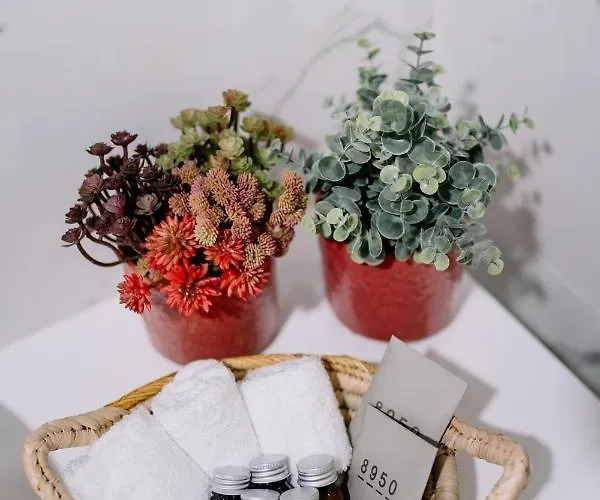 Portugal Countryside Retreat For Remote Workers And Digital Nomads Вали-ди-Камбра