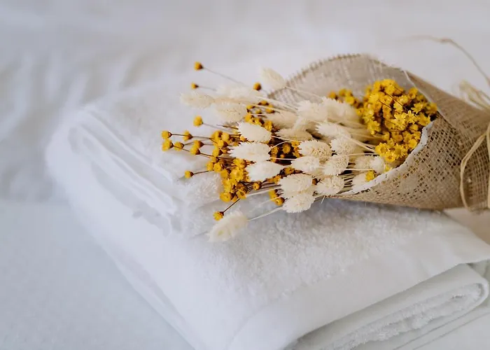 Portugal Countryside Retreat For Remote Workers And Digital Nomads Gospodarstwo wiejskie