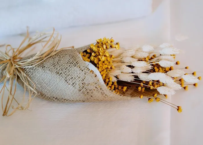 Gospodarstwo wiejskie Portugal Countryside Retreat For Remote Workers And Digital Nomads Vale de Cambra