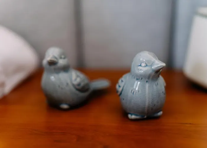 Portugal Countryside Retreat For Remote Workers And Digital Nomads * Vale de Cambra