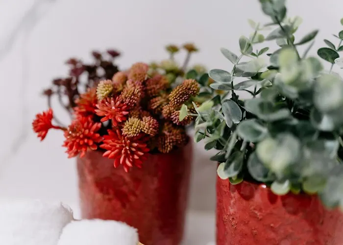 Летний дом Portugal Countryside Retreat For Remote Workers And Digital Nomads Вали-ди-Камбра