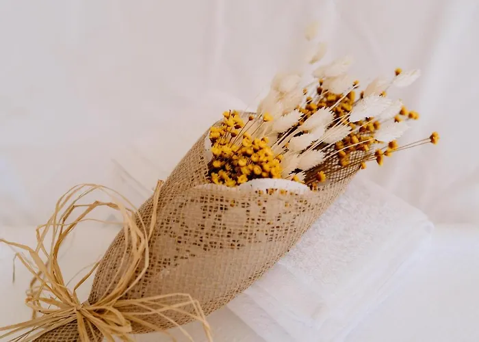 Portugal Countryside Retreat For Remote Workers And Digital Nomads Летний дом