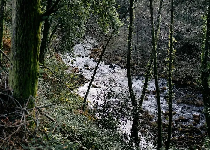 Gospodarstwo wiejskie Portugal Countryside Retreat For Remote Workers And Digital Nomads